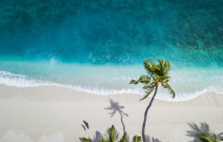 THE WAVE RESORTS LTD