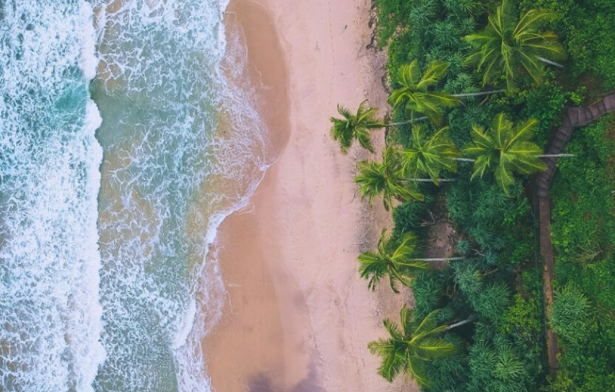 THE WAVE RESORTS LTD